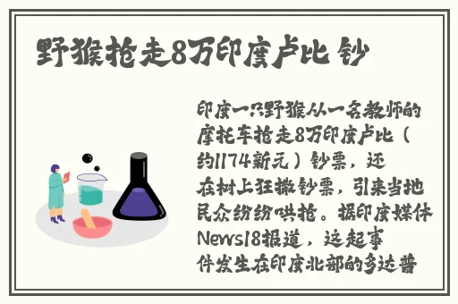 国产精品一卡2卡3卡4卡新区